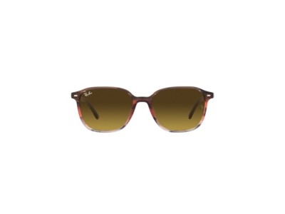 RAY BAN LEONARD RB2193 1380/85