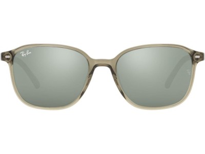 RAY BAN LEONARD RB2193 66355C