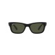 RAY BAN MR BURBANK RB2283 901/31