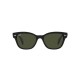 RAY BAN RB0880S 901/31