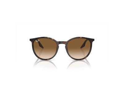 RAY BAN RB2204 902/51