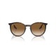 RAY BAN RB2204 902/51