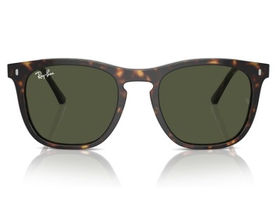 RAY BAN RB2210 902/31