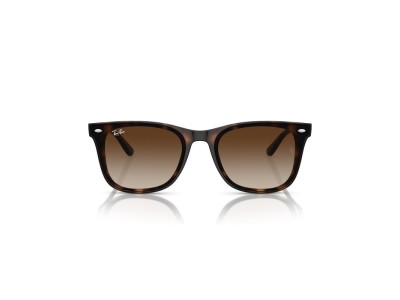 RAY BAN RB4420 710/13