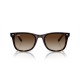 RAY BAN RB4420 710/13