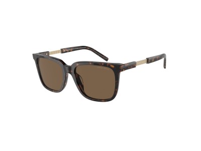 GIORGIO ARMANI AR8202U 5879/73