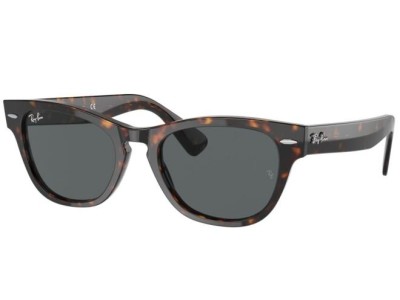 RAY BAN LARAMIE RB2201 902/B1