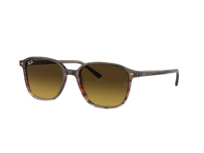 RAY BAN LEONARD RB2193 1380/85