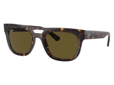 RAY BAN PHIL RB4426 1359/73