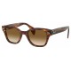 RAY BAN RB0880S 954/51