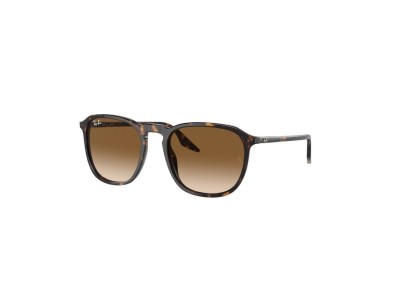 RAY BAN RB2203 902/51