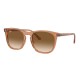 RAY BAN RB2210 676451