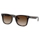 RAY BAN RB4420 710/13